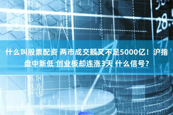 什么叫股票配资 两市成交额又不足5000亿！沪指盘中新低 创业板却连涨3天 什么信号？