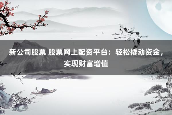 新公司股票 股票网上配资平台：轻松撬动资金，实现财富增值