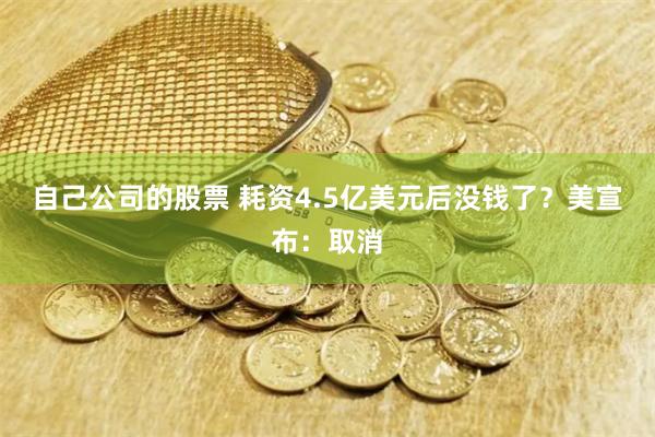 自己公司的股票 耗资4.5亿美元后没钱了？美宣布：取消